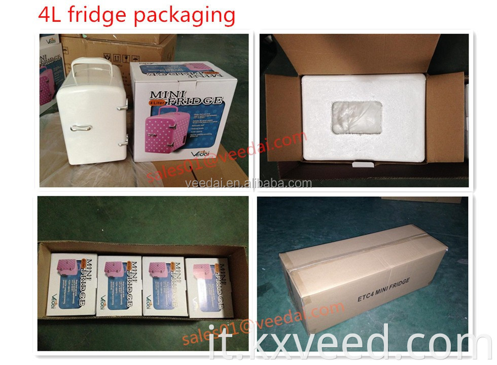 DC/AC 4L Cooler Mini Frigo